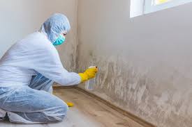 Best Real Estate Mold Inspection  in Marion, OH