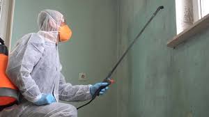 Mold Remediation for Vacation Homes in Marion, OH